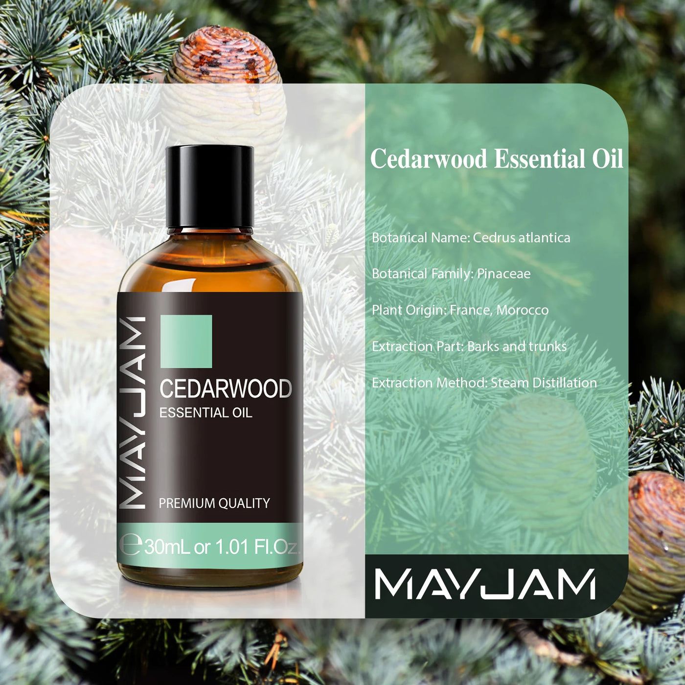 MAJYAM 30ml with Dropper Eucalyptus Tangerine Clove Oil Hair Care/Face Care/Body Care